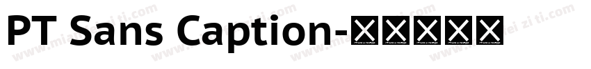 PT Sans Caption字体转换